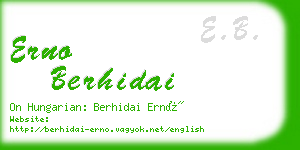 erno berhidai business card